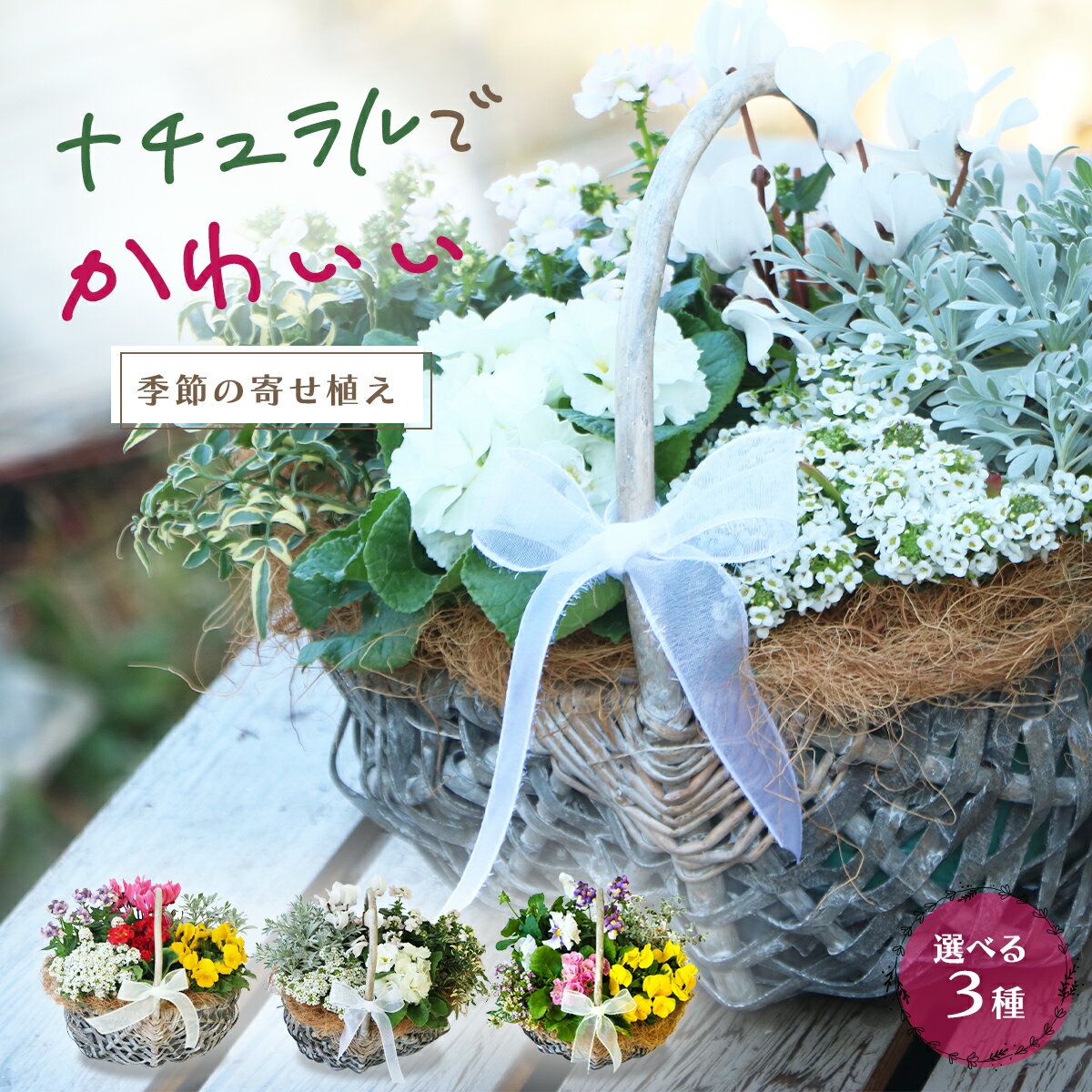 寄せ植え お誕生日　に最適　お花は旬の花をおまかせ「　ナチュラルでかわいい　季節の花かご 寄せ植え　」 ギフト 自宅 ラッピング可 冬 5月 6月 7月 メッセージカード無料 プレゼント 花苗セット 済 おしゃれ インテリア 雑貨 送料無料 鉢花 寄せ鉢 寄せ苗 送料無料