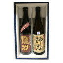 日本酒 正規特約店 本田商店　龍力　特別純米　生もと仕込★神力★720ml★2本セット化粧箱付