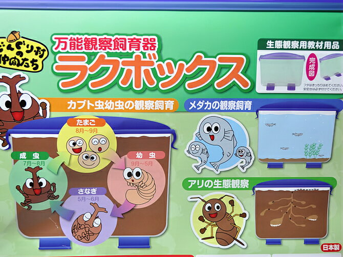 見える観察ケース・ラクボックス