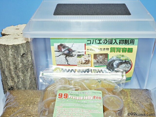 �������塞��������񥻥åȡڥ��������