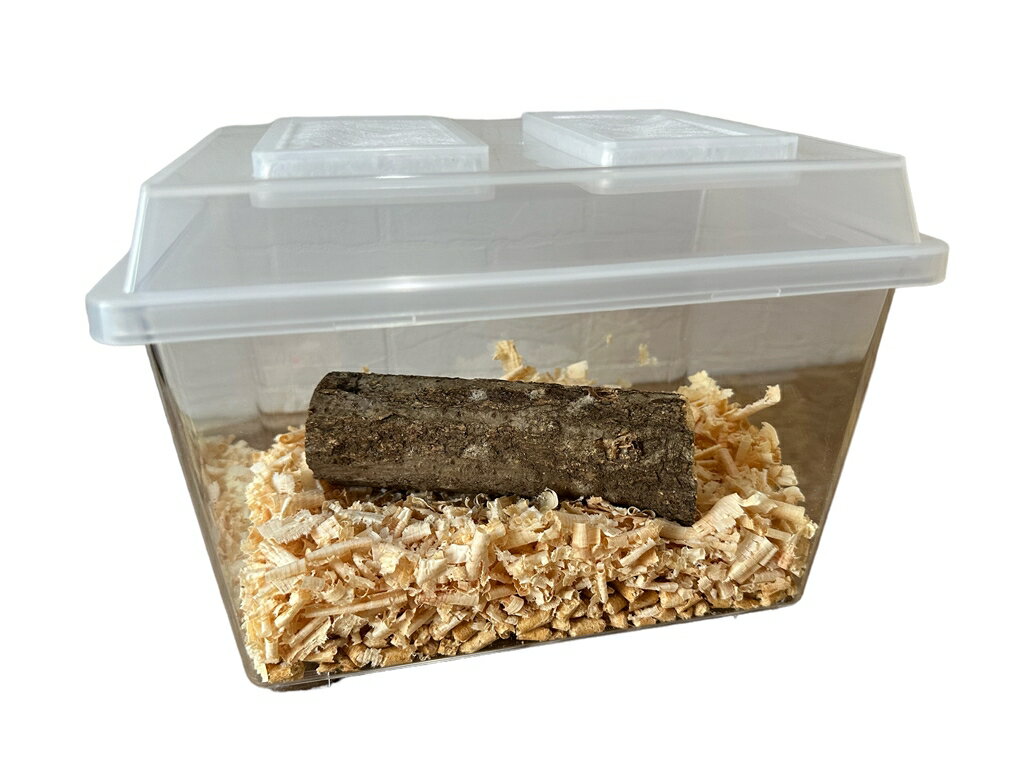 ��ñ�������塞�����ߡ���̲���åȡڥ��������