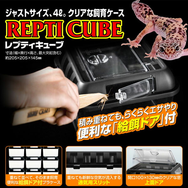 スドー　レプティキューブ　RX-400 2