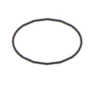 エーハイム　フィルターケースOリング 2211用　(7272658)