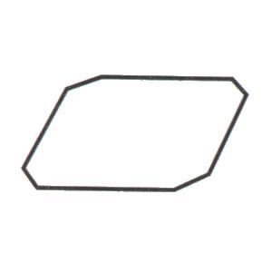 エーハイム　フィルターケースOリング(7343168)