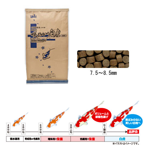 ���硼��� ��Ҥ��� ��� ������L��20kg