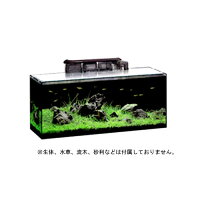 ≪数量限定≫GEXグラステリアBZ600スリム60cm水槽セット熱帯魚