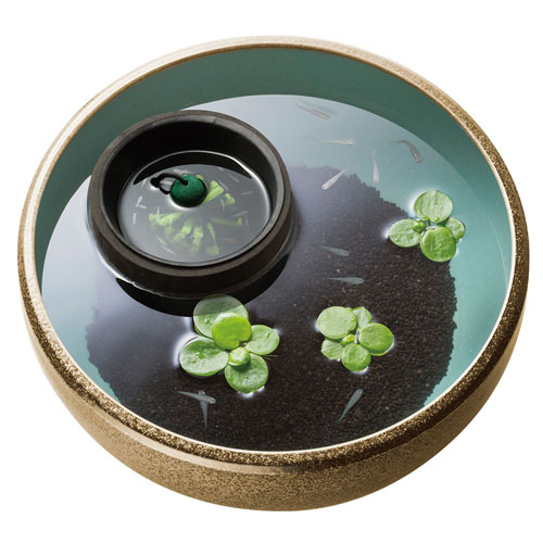 ���ɡ� ������ο˻Ұ������åȡ�S-5992