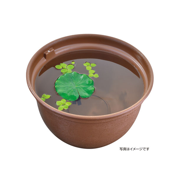 GEX �������� ������Τ������ �ϥ�