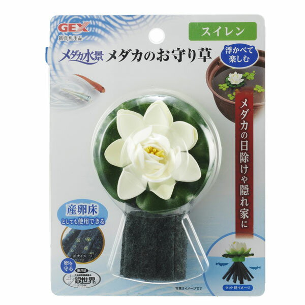 GEX メダカ水景 メダカのお守り草 スイレン