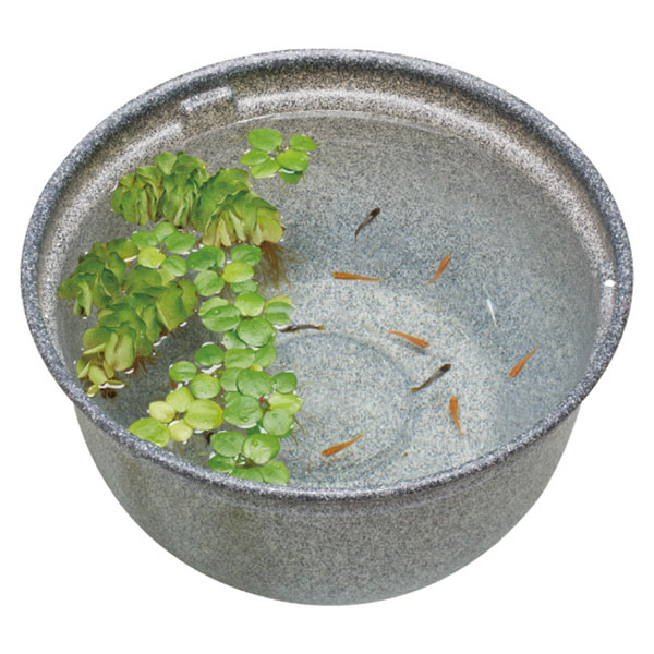 GEX メダカ元気 メダカのための飼育鉢 みかげ 370