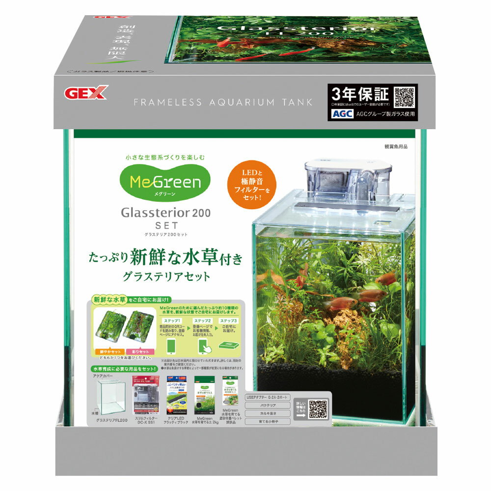 GEXMeGreen ʿդ 饹ƥꥢ200å