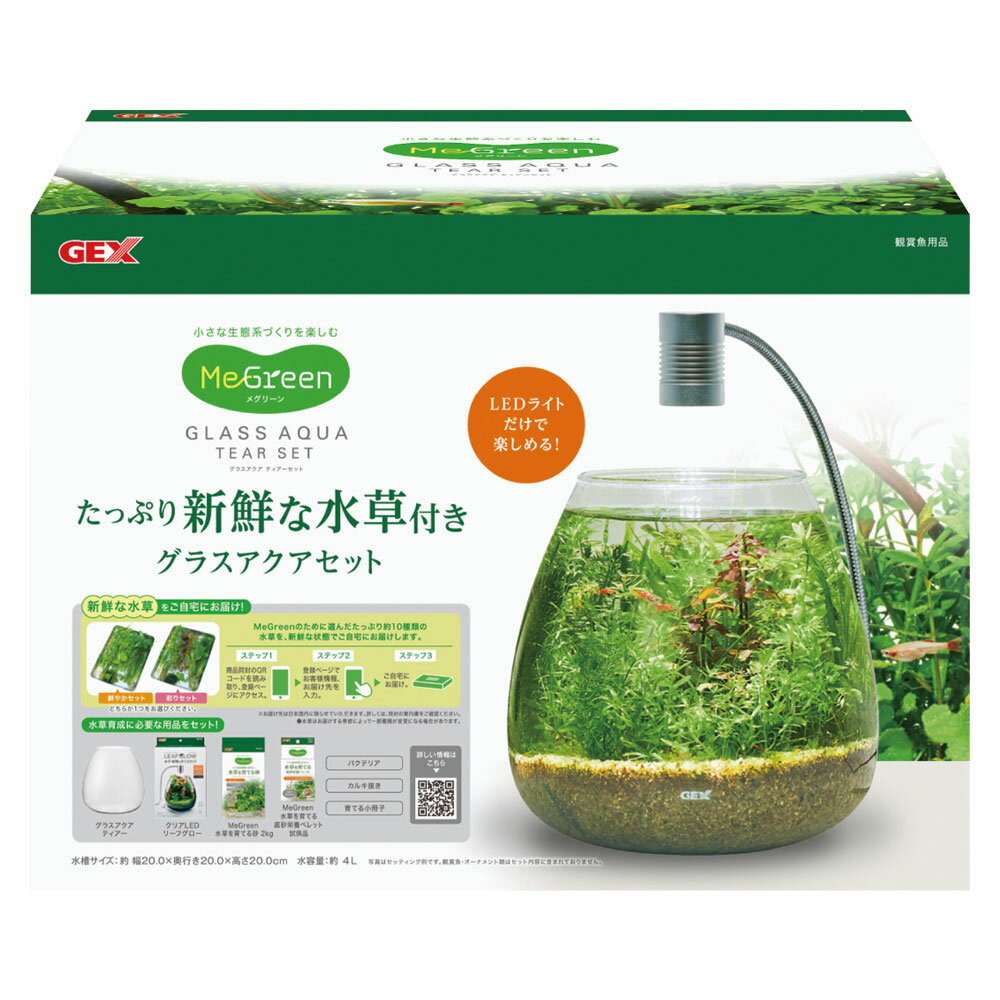 GEXMeGreen ʿդ 饹ƥå