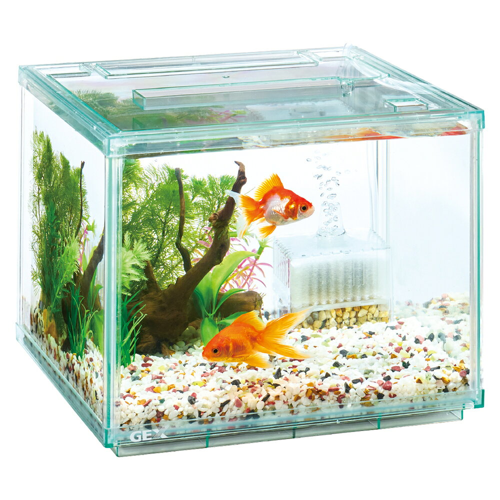 GEX 金魚元気 ぶくぶくクリア250CUBE　水槽サイズ：約幅25×奥行25×高さ20cm