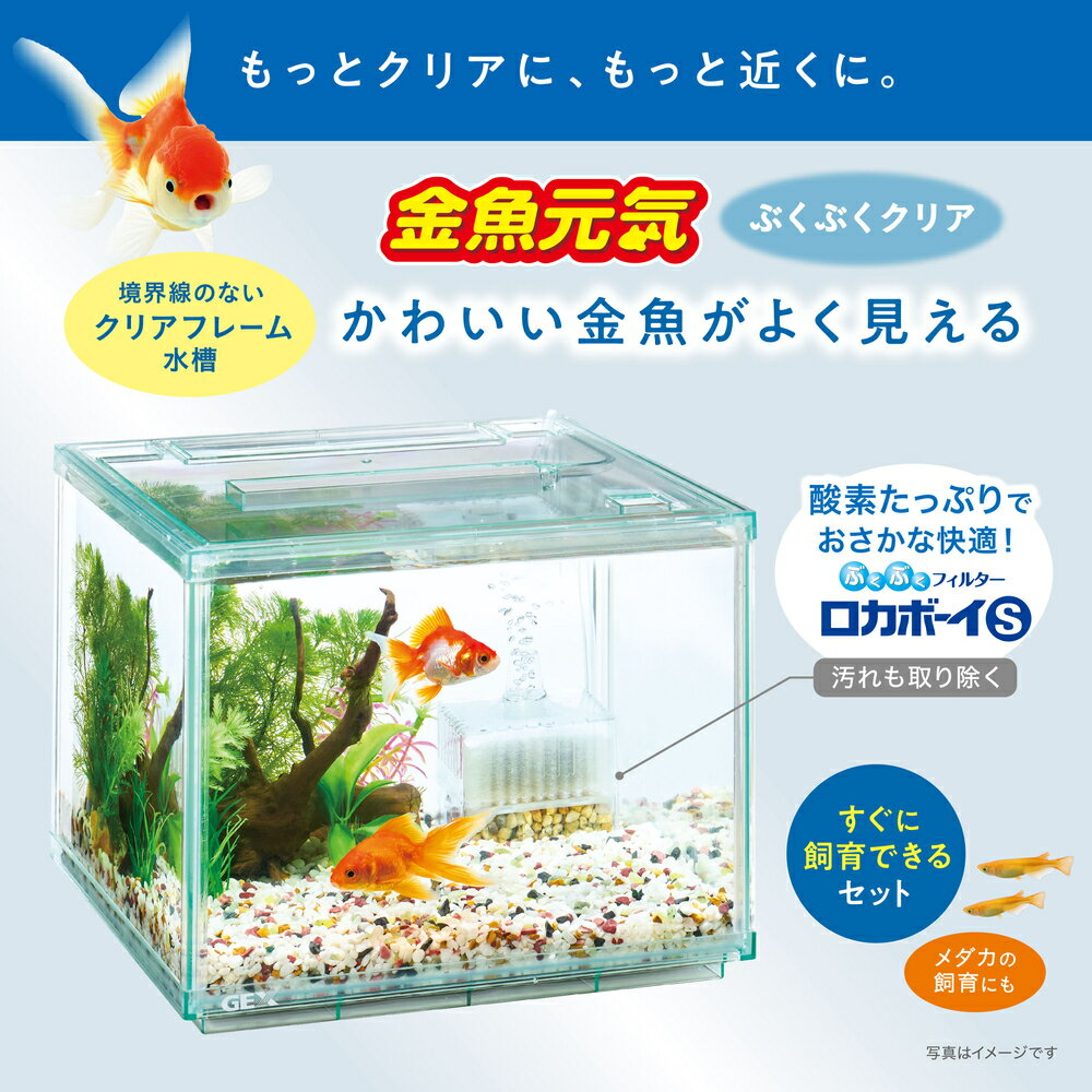 GEX 金魚元気 ぶくぶくクリア250CUBE　水槽サイズ：約幅25×奥行25×高さ20cm