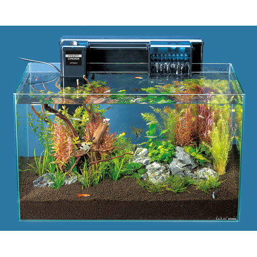 ���奻�å� �쥰�饹F-600 ������3�����å� 60cm ���ȥ֥����� ���� �ե��륿�����å� ���ݤ��ե��륿���դ� Ǯ�ӵ� ����� ��� �������ꥦ�� �鿴�ԥ��å�