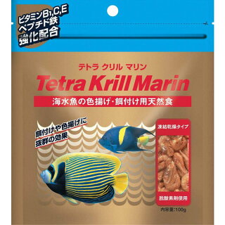 コガネキュウセンの飼育は難しい は必須ですよ Aqua Eyes コガネキュウセンの飼育は難しい は必須ですよ Aqua Eyes