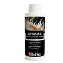 レッドシー アイプタシアX 500ml