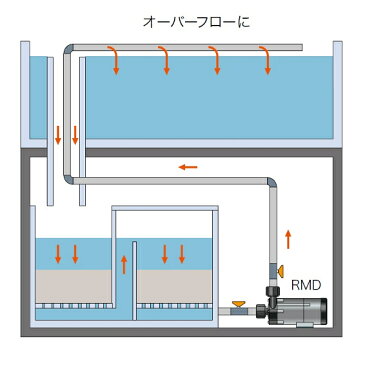 レイシー マグネットポンプRMD-401