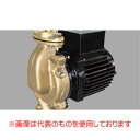 【メーカー直送品】三相電機 砲金製ラインポンプ(全閉モータ) 32PBGZ-2033A 三相200V 東日本用 50Hz
