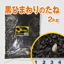 富城物産 黒ひまわりの種2kg