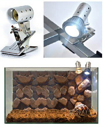 ���󥹥����ڥåȥڥåȥ����󡡥ޥ����� UV LED + �ޥ����������񥻥åȡ��饤�ȡ��ʥ���(80)