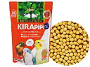 キョーリン　キラピピインコ 中粒　600g　(80)