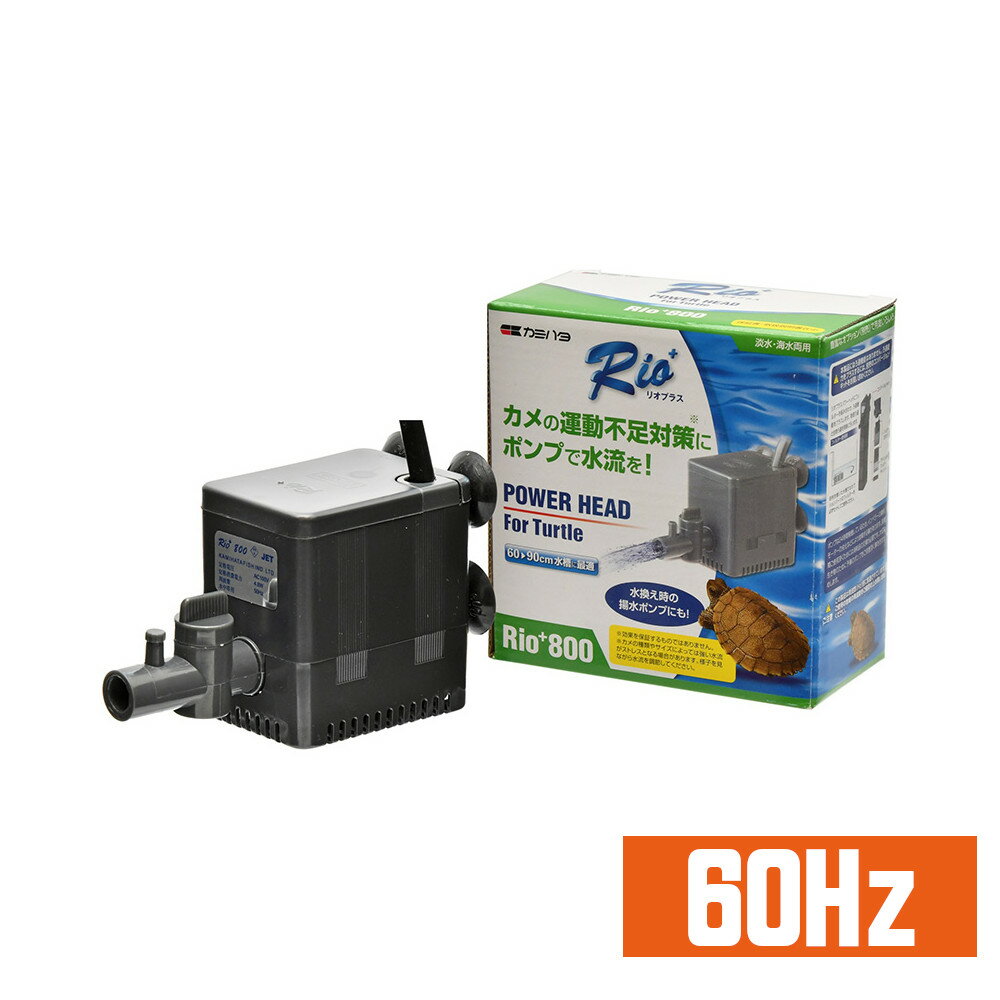カミハタ リオプラスタートル Rio+タートル 800 西日本用【60Hz】