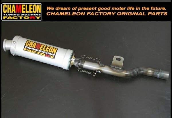 カメレオンファクトリー製 スリップオンサイレンサー TDR50/80