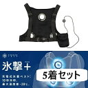 【在庫あり 即納】5着セット FREEZE TECH ペルチェ 氷撃 + 充電式氷嚢ベスト W001 Blackフリーサイズ LIDEF バイクに ゴルフに 屋外作業に 熱中症対策 リベルタ