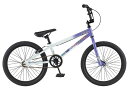 子供用自転車 BMX GT FRIEND SHIP (ホワイト) 2023 ジーティー フレンドシップ キッズバイシクル モトクロス