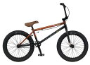 BMX GT MERCADO TEAM 21 (s[`ubNtF[h) 2023 W[eB[ Jh `[ 21 oCVN gNX