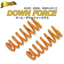 ダウンサス マツダ マツダスピードアクセラ BL3FW L3-VDT 2WD 2.3L H21/6〜 1台分・前後セット【送料込み】 ZOOM ローダウン サスペンション ダウンフォース【MAZDA】【RCP】