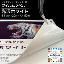 フィルム ラベル daitobino インクジェットプリンター用 光沢ホワイト Gloss White シートタイプ:A4サイズ 50枚 BINOINA4GW ...
