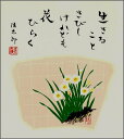 【メール便対象商品/送料無料】四季を彩る花鳥画色紙1水仙・冬・吉岡浩太郎