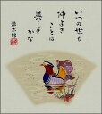 【メール便対象商品/送料無料】四季を彩る花鳥画色紙9おしどり・吉岡浩太郎