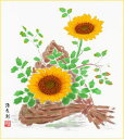 【メール便対象商品/送料無料】四季を彩る花鳥画色紙84ひまわり・夏・吉岡浩太郎