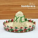 ミニソンブレロ メキシカンハットメキシコ 雑貨 大きめ SOMBRERO ソンブレロ ディスプレイ 飾り 置物 かわいい インテリア HECHO EN MEXICO ヘチョエン メキシカン VIVA メキシコ 雑貨