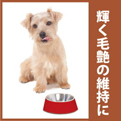 【抗酸化サプリクッキー】愛犬専用のサプリクッキープッチープー40g【サプリメント犬おやつドッグフード栄養補助食品犬用品ペット用品ペットグッズ通販】【RCP】【HLS_DU】
