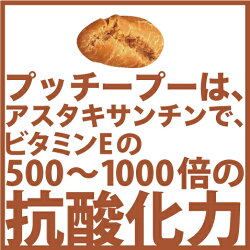 【抗酸化サプリクッキー】愛犬専用のサプリクッキープッチープー40g【サプリメント犬おやつドッグフード栄養補助食品犬用品ペット用品ペットグッズ通販】【RCP】【HLS_DU】