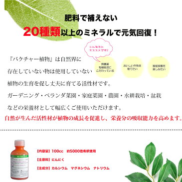 【送料無料】バクチャー植物 100cc 植物活性剤 液体肥料 栄養剤 土壌改良剤 土 土壌 植物 観葉植物 盆栽 野菜 花 観葉植物 ガーデニング 自家栽培 プランター 庭 園芸用品 鉢植え 庭木 花壇 菜園 土づくり 畑