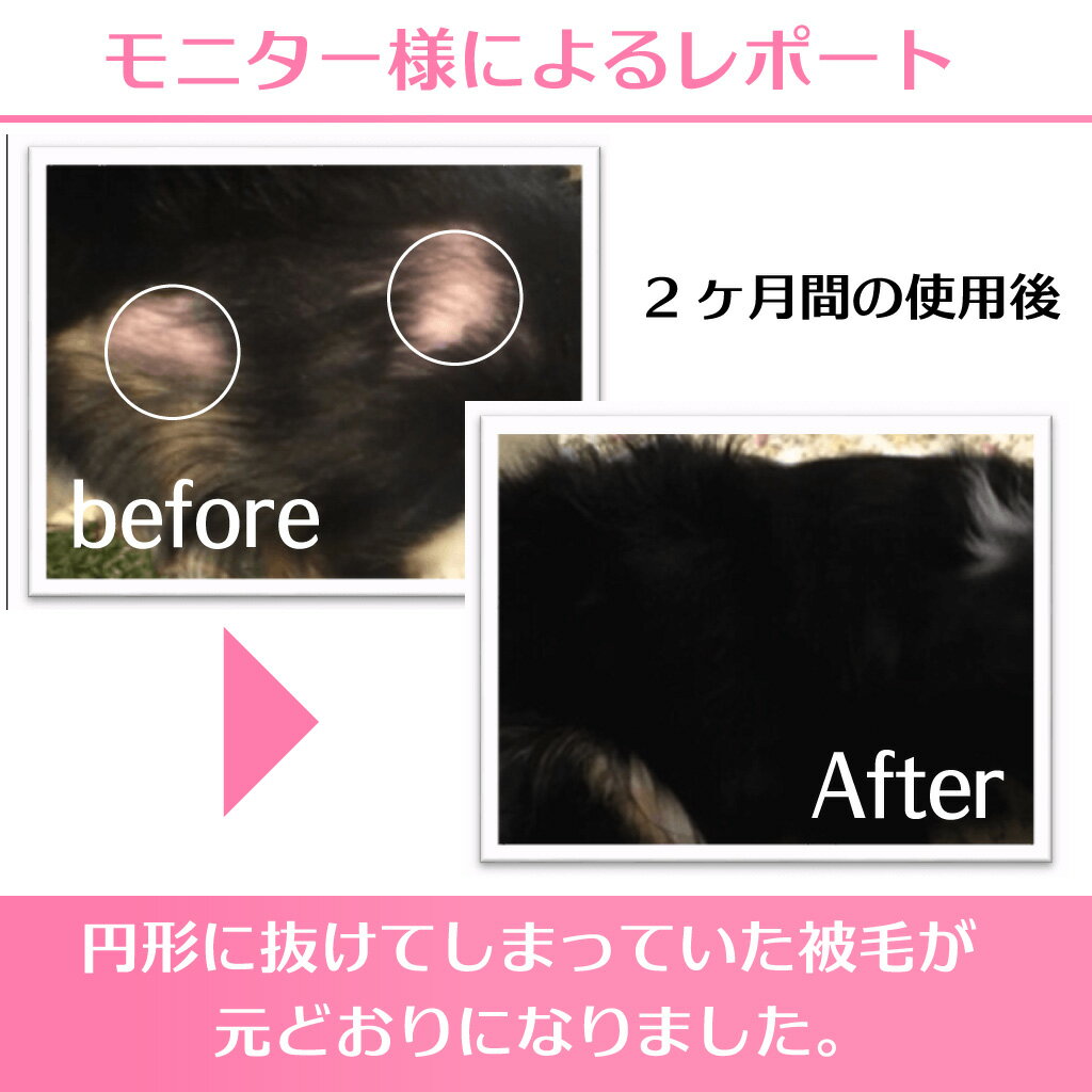 健康な皮膚 被毛へと導きます ペット用プレミアムスパ 犬用 入浴剤 ムムト プレミアムスパ Dog Egf 310g ペット用 皮膚炎 ペットエステ 低刺激 一部予約 被毛改善 抗炎症 フケ かさぶた トラブル 敏感肌 天然成分 かゆみ アレルギー 皮膚改善