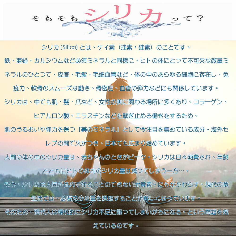 ��¨��ȯ��������̵�� �ʥ���������� ���ꥫ �ʥΥ������ɿ� �� ���������� (50ml) ������ ��ǻ�� ���ꥫ�� ���ץ���� �ޥ��ͥ����� ���� ������ �ڥå� �ӱ� �ν� �ݼ� �μ����� ������ �ߥͥ�� ���ꥦ�� �ʥȥꥦ�� ���륷���� ǻ�̱� ���ꥫ�� ��ȩ