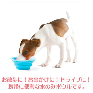 犬 お散歩 旅行 Popware ぺたんこボウル S ブルー/ピンク 給水器 フードボウル ウォーターボウル 犬用 食器 猫 用品 ペット用品 ライトハウス