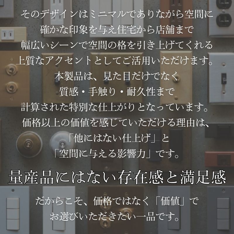 スイッチプレート おしゃれ 真鍮 1口 2口 3口 照明 照明器具 鋳肌仕上げ スイッチカバー コンセントプレート ネジ付き 日本製 建材 部材 DIY 新築 リフォーム店舗 事務所 真鍮鋳造プレート(鋳肌)