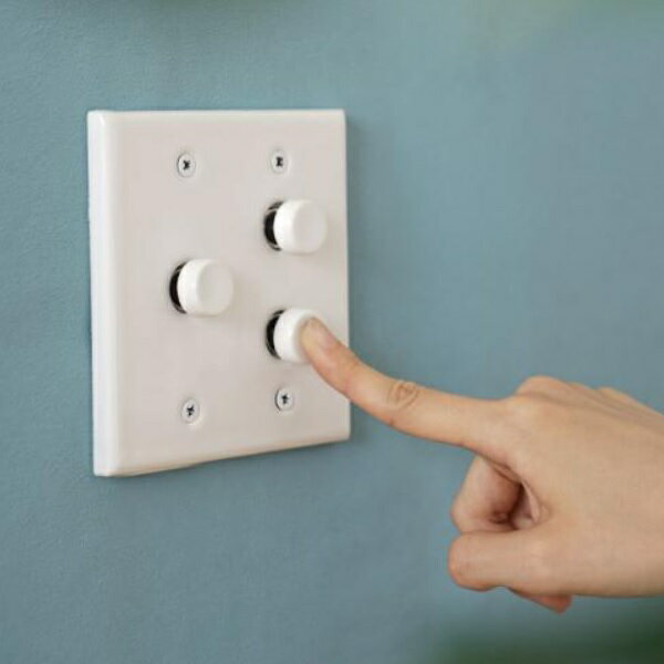 AXCIS   ץå她å å   ȥ ȥꥢ ̵ ץ DIY ɥå ...