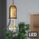電球 一般型LED電球E26 100W相当 AXCIS アクシス DIY リフォーム 新生活(3)
