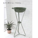 【直送】ガーデニング グリーン 花器 プランター 鉢植え ガーデン ディスプレイ オブジェ おしゃれ インテリア 北欧 ガーデン アンティーク調 エバーグリーン...