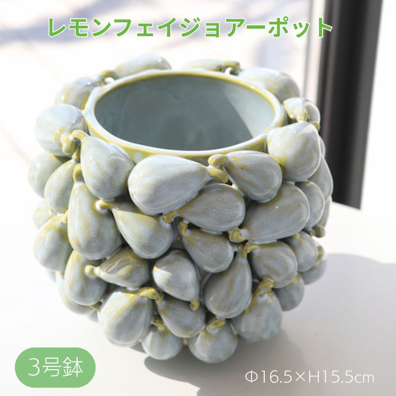 樂天商城 - フェイジョアーポット