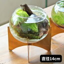 ガラスボウルベース Lサイズ in bloom インブルーム Creer クレエ 新生活 バレンタイン ホワイトデー 母の日 ギフト プレゼント(3)