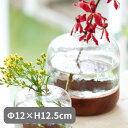 シナリーウッド&ガラスベース ドーム Sceneryvase シナリーベース Creer クレエ 新生活 バレンタイン ホワイトデー 母の日 ギフト プレゼント